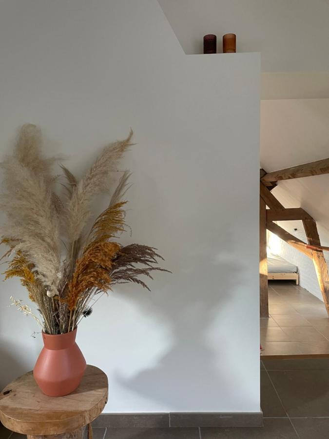 La Canopee Des Arbres, Juliette Ellezelles Exterior foto